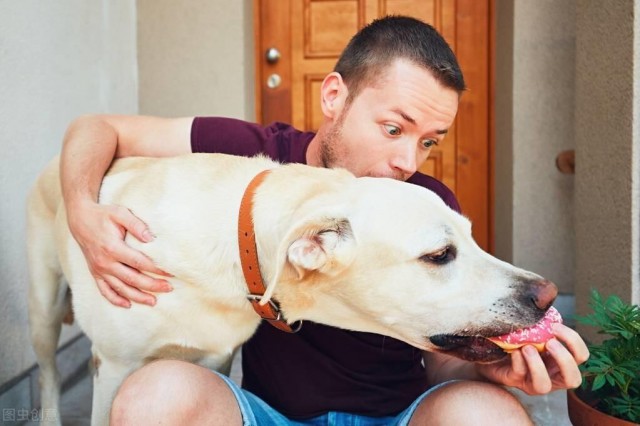 适合别人的狗狗，并不一定适合你！盘点受欢迎犬种的优缺点